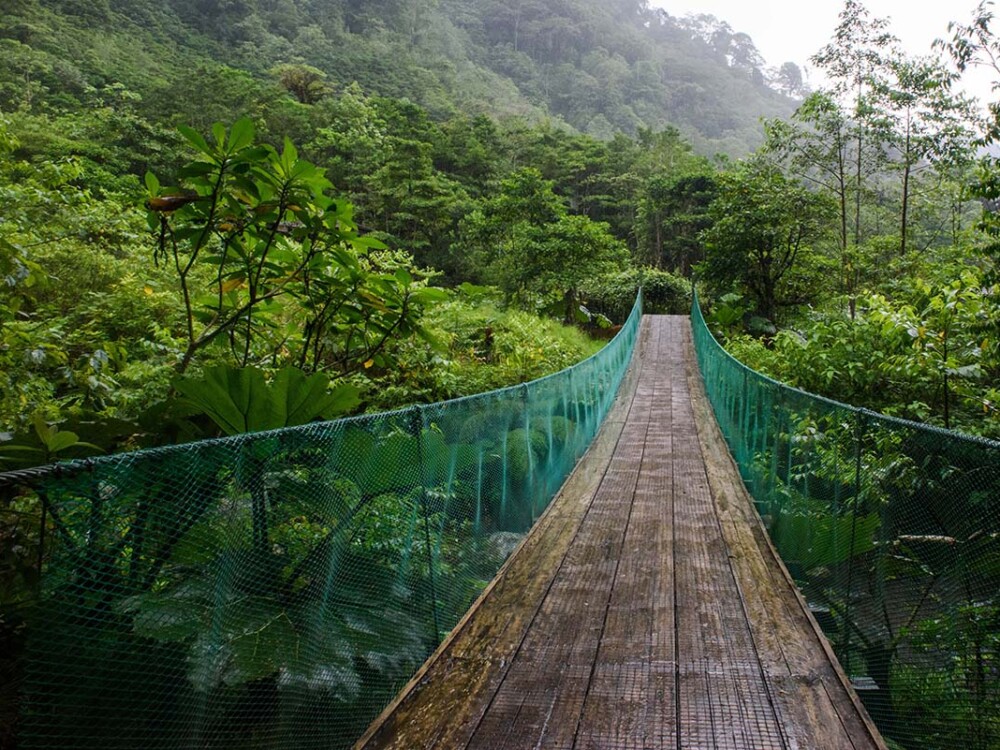 Monteverde Costa Rica hanging bridge