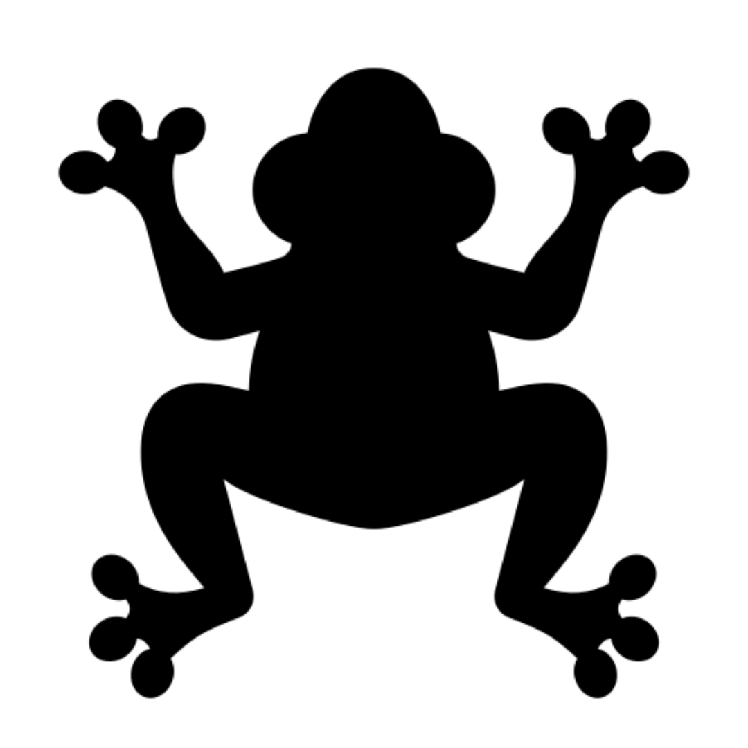 NIGHT WALKS